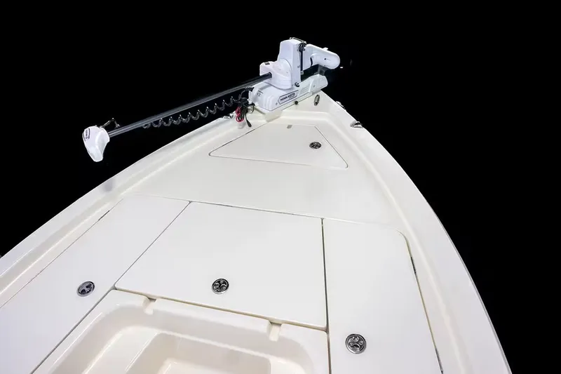 Slide: The Image of Skeeter SX221 2026 - 9