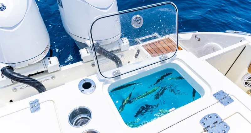 Slide: The Image of Cobia 265 Open Center Console 2026 - 15