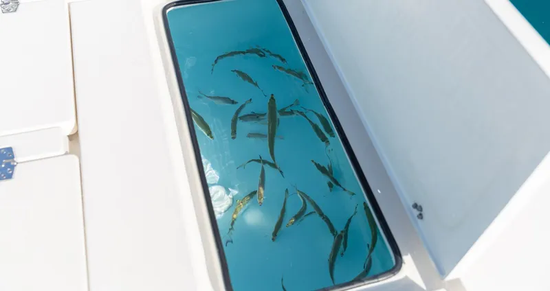 Slide: The Image of Hewes Redfisher 21 2026 - 18