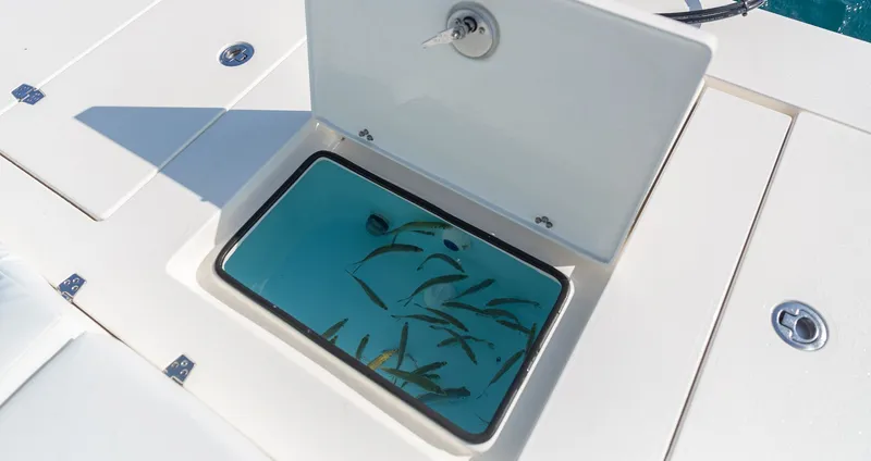 Slide: The Image of Hewes Redfisher 21 2026 - 19