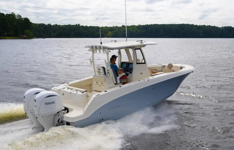 Slide: The Image of Stingray 253 CC 2026 - 2