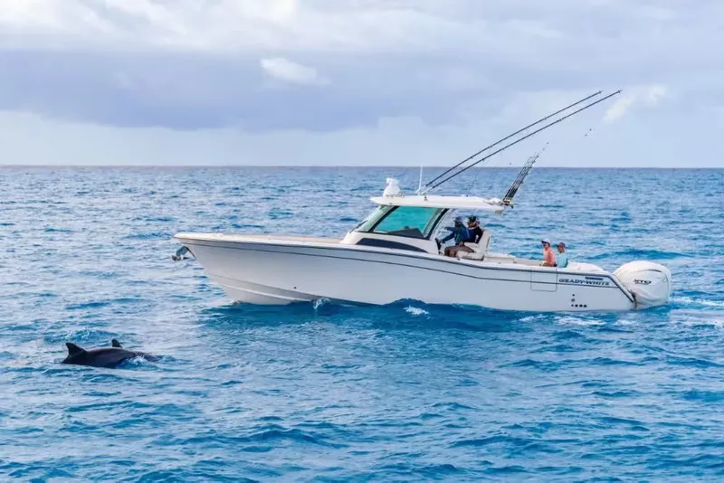 Slide: The Image of Grady-White Canyon 386 2026 - 2