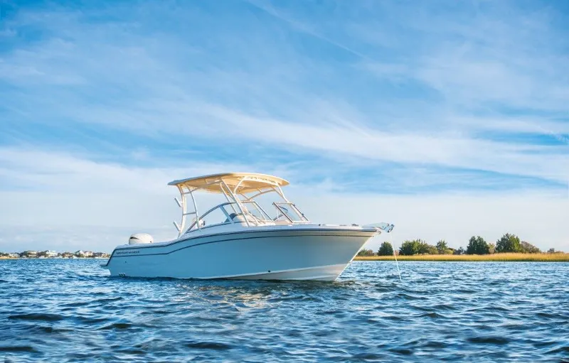 Slide: The Image of Grady-White Freedom 235 2026 - 2