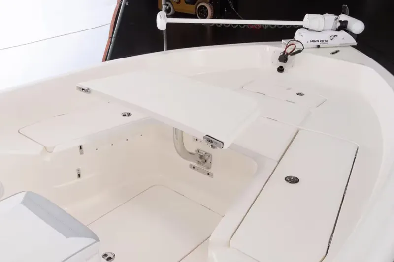 Slide: The Image of Skeeter SX2550 Fish 2026 - 11