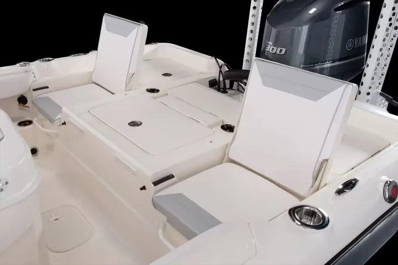 Slide: The Image of Skeeter SX2550 Fish 2026 - 18