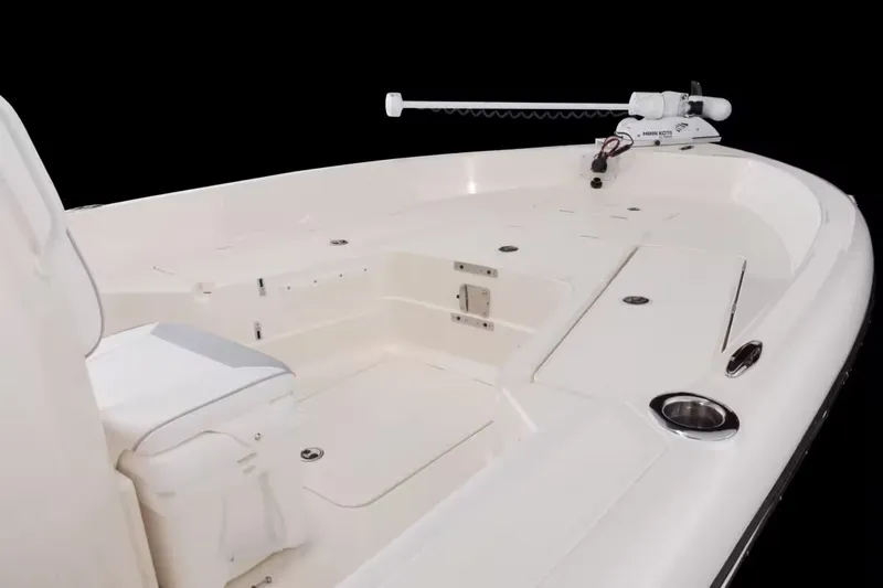 Slide: The Image of Skeeter SX2550 Fish 2026 - 9