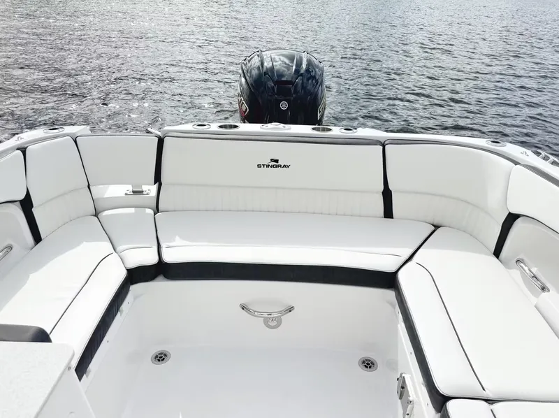 Slide: The Image of Stingray 231 DC 2026 - 13