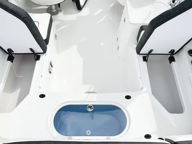 Slide: The Image of Stingray 231 DC 2026 - 16