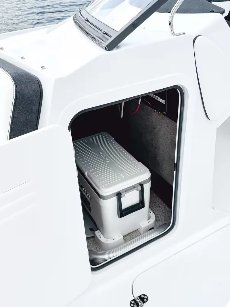 Slide: The Image of Stingray 231 DC 2026 - 21