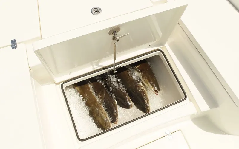 Slide: The Image of Maverick 2600 HPS 2026 - 21