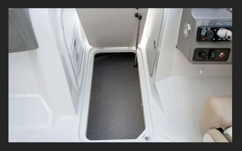 Slide: The Image of Stingray 201 DC 2026 - 12