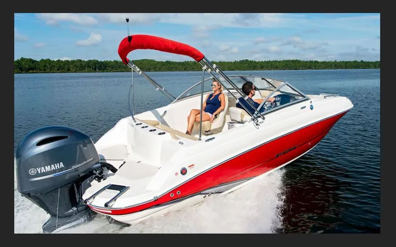 Slide: The Image of Stingray 201 DC 2026 - 3