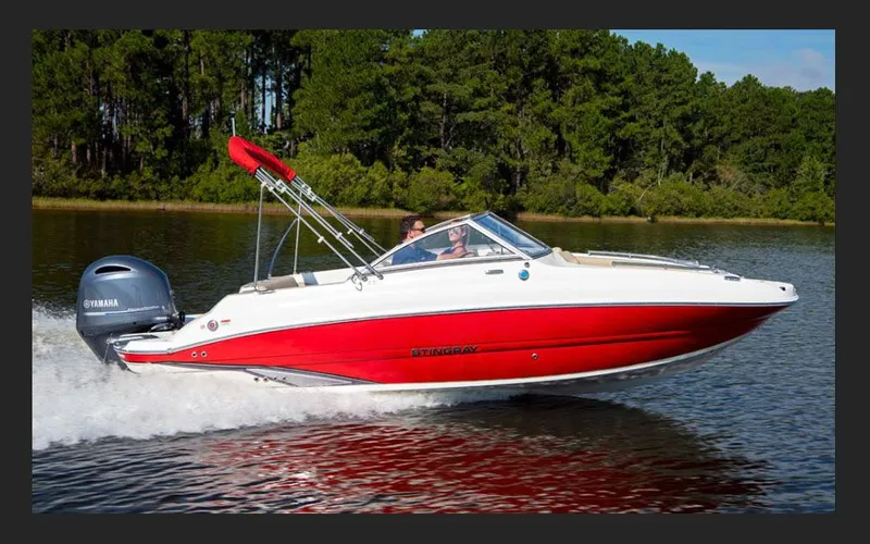 Slide: The Image of Stingray 201 DC 2026 - 4