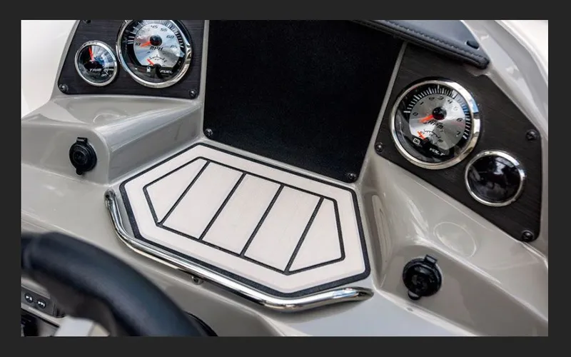 Slide: The Image of Stingray 201 DC 2026 - 9