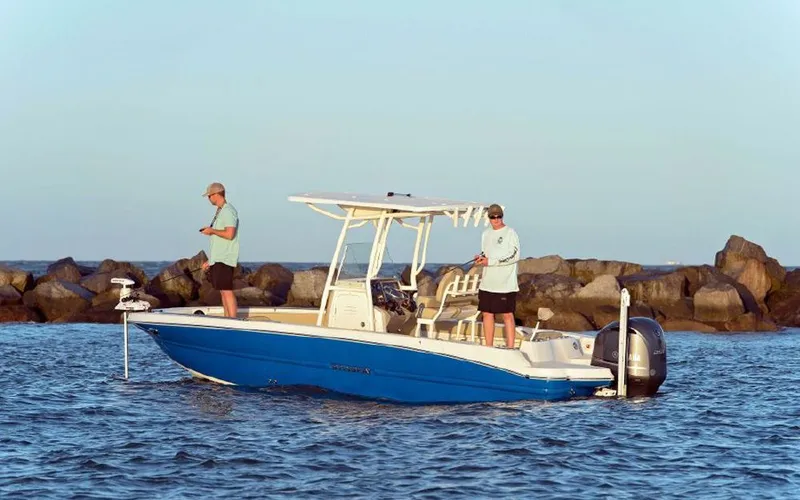 The Image of Stingray 236 CC 2026 - 1