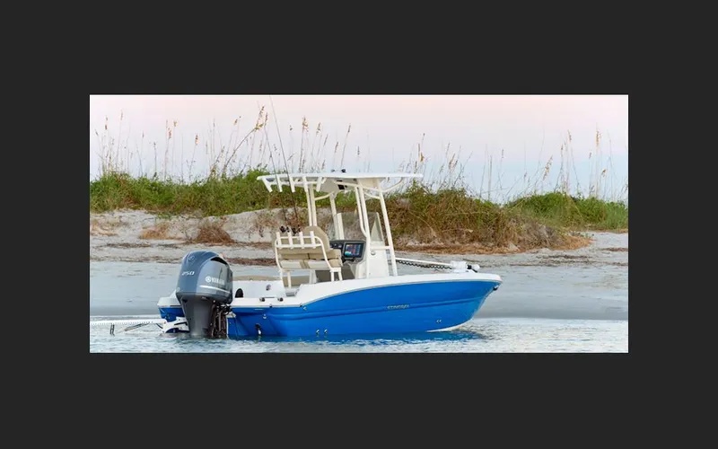 Slide: The Image of Stingray 236 CC 2026 - 3