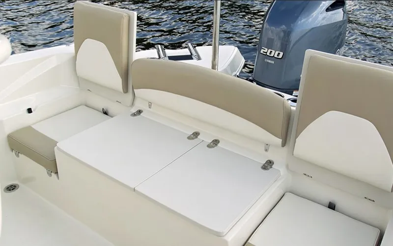 Slide: The Image of Stingray 236 CC 2026 - 5