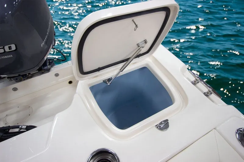 Slide: The Image of Grady-White Freedom 255 2026 - 9