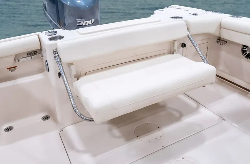 Slide: The Image of Grady-White Freedom 255 2026 - 10