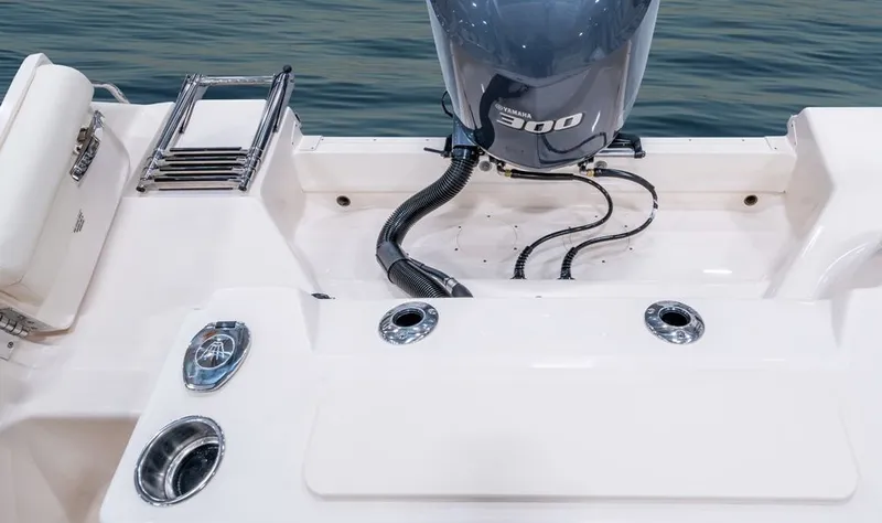 Slide: The Image of Grady-White Freedom 255 2026 - 15