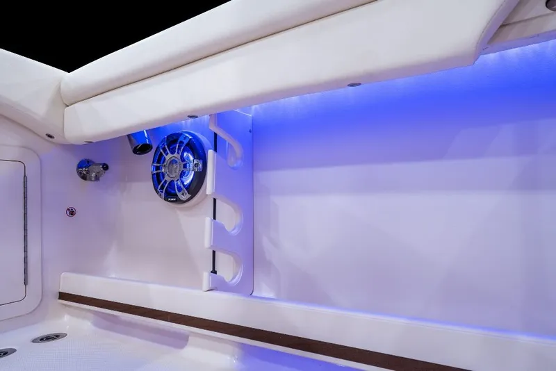 Slide: The Image of Grady-White Freedom 255 2027 - 12