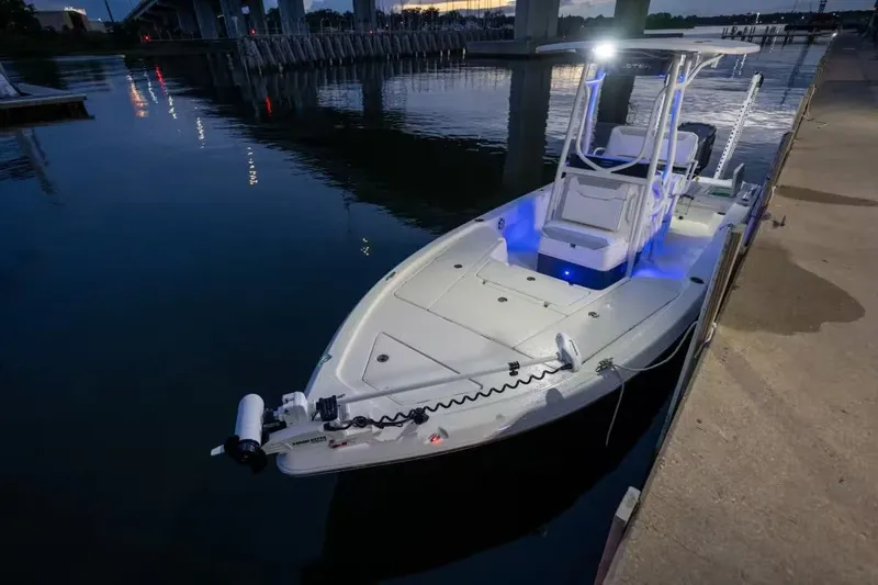 Slide: The Image of Skeeter SX241 2026 - 10