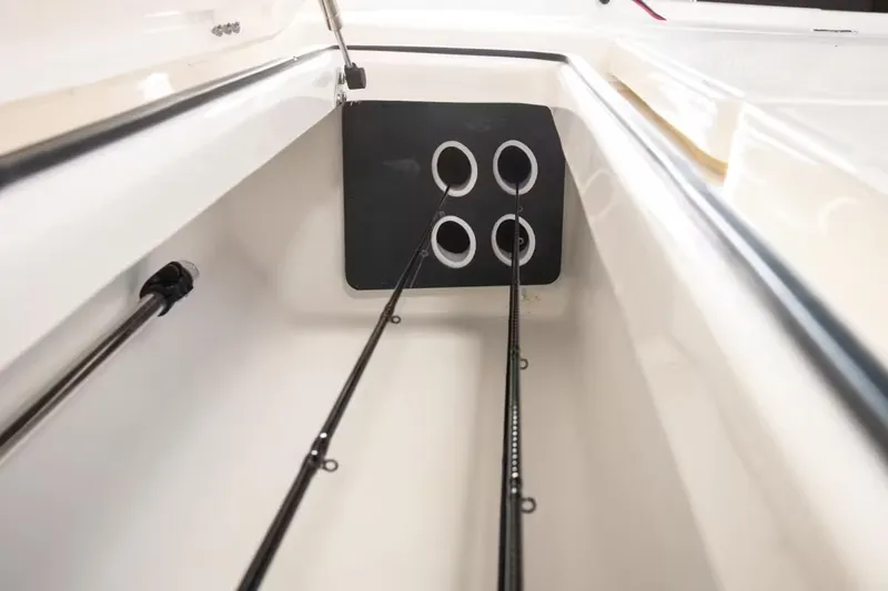 Slide: The Image of Skeeter SX241 2026 - 22