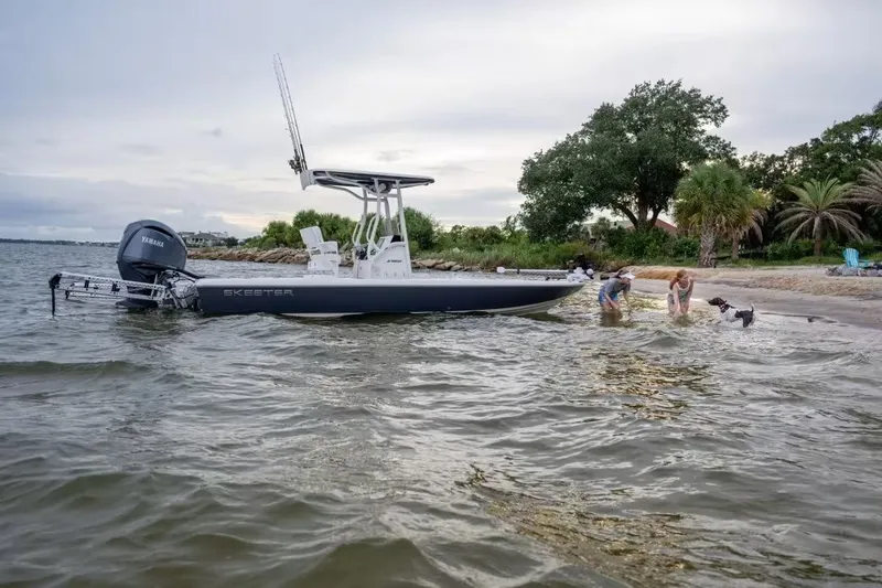 Slide: The Image of Skeeter SX241 2026 - 8