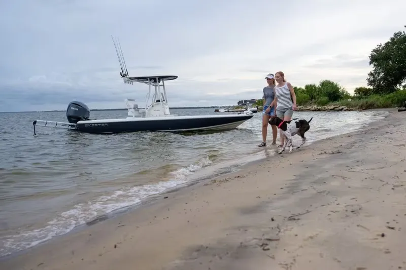 Slide: The Image of Skeeter SX241 2026 - 9