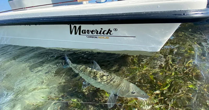 Slide: The Image of Maverick 17 HPX-V 2026 - 11