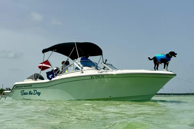 The Image of 2023 Grady-White Freedom 215 boat with dog in life jacket on calm water. - 1