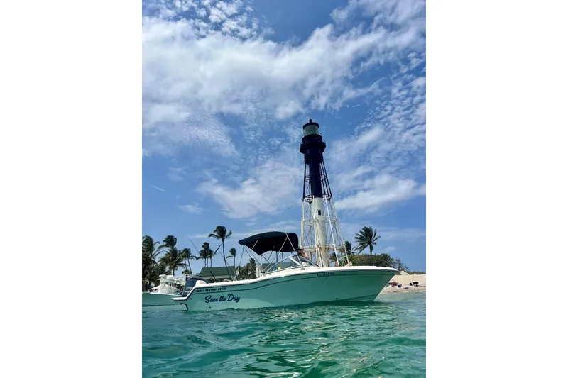 Slide: The Image of 2023 Grady-White Freedom 215 boat near lighthouse, clear sky, and palm trees. - 9