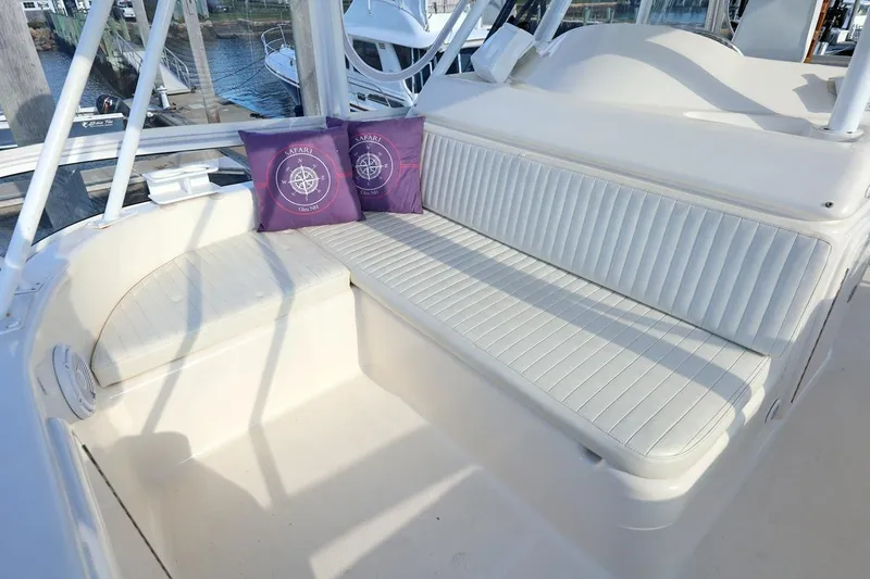 Slide: The Image of SAFARI - 11