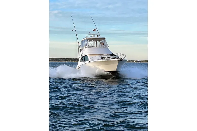 Slide: The Image of SAFARI - 2