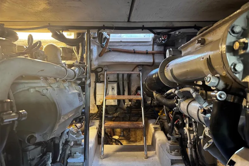 Slide: The Image of SAFARI - 48