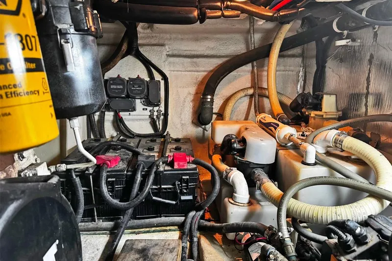 Slide: The Image of SAFARI - 50