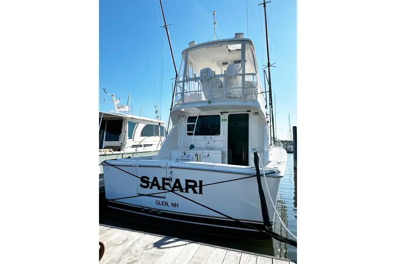 Slide: The Image of SAFARI - 16