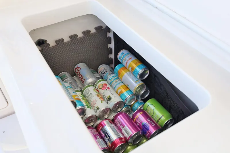 Slide: The Image of SAFARI - 46