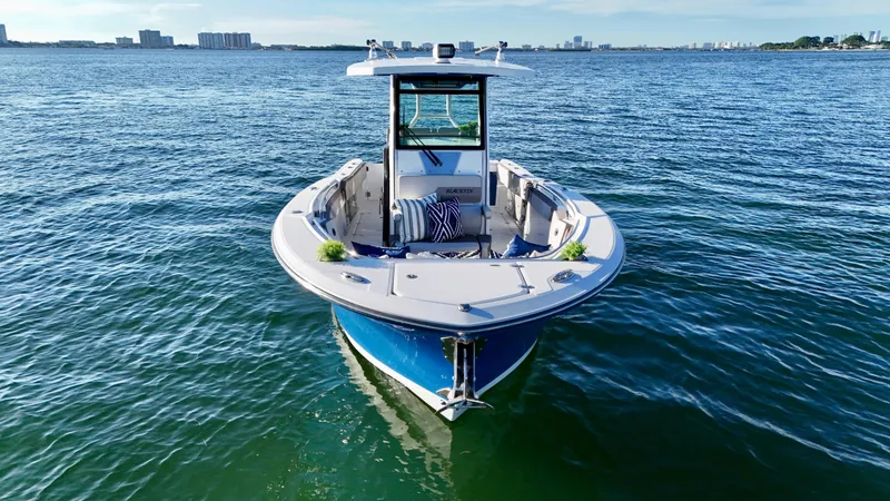 Slide: The Image of Blackfin 272 CC 2018 - 4