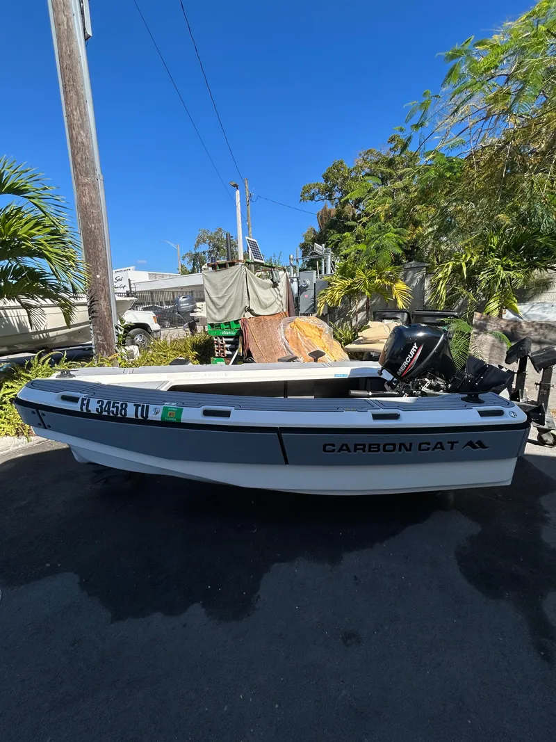 Slide: The Image of Aspen T10 Carbon Cat 2024 - 3