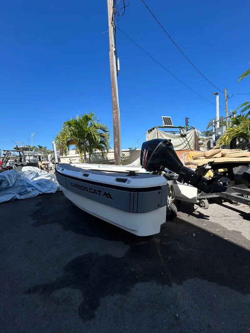 Slide: The Image of Aspen T10 Carbon Cat 2024 - 4