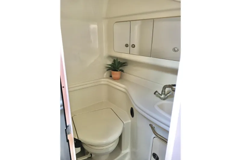 Slide: The Image of 2007 Sea Ray 340 Sundancer bathroom with toilet, sink, and small plant. - 27