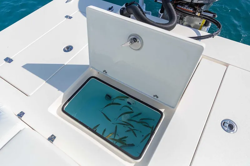 Slide: The Image of Manufacturer Provided Image: 2026 Hewes Redfisher 21 boat with open livewell containing fish, showcasing fishing features. - 55