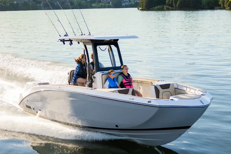 Slide: The Image of Yamaha 255 FSH Sport E 2026 - 8