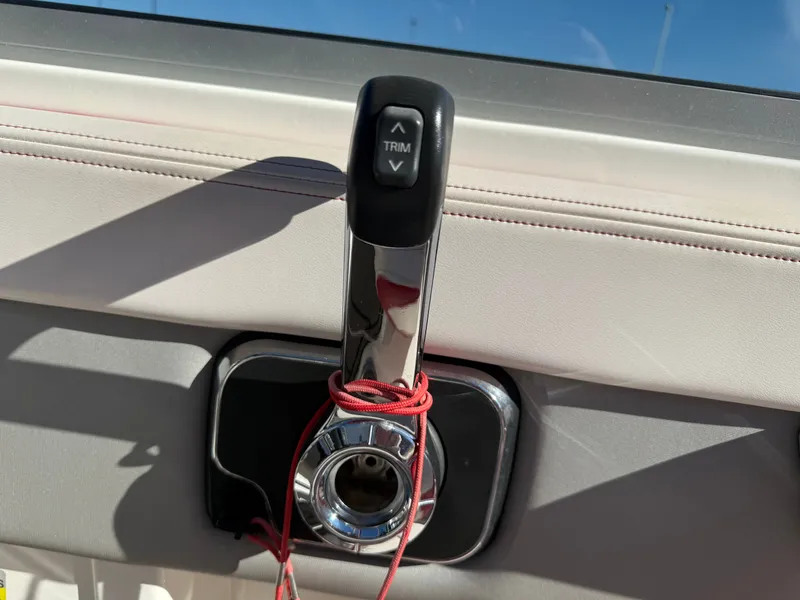 Slide: The Image of Chaparral 21 Surf 2020 - 23