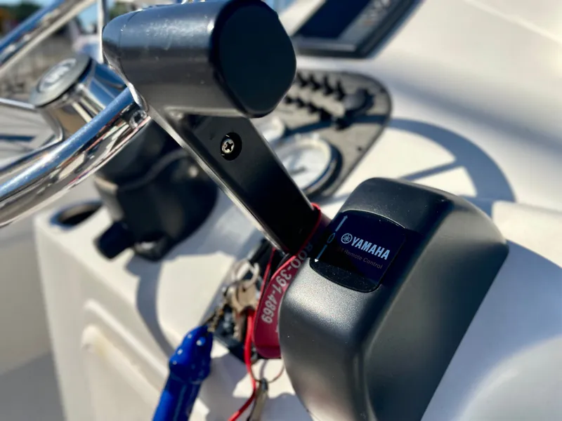 Slide: The Image of Carolina 178 DLV 2015 - 13