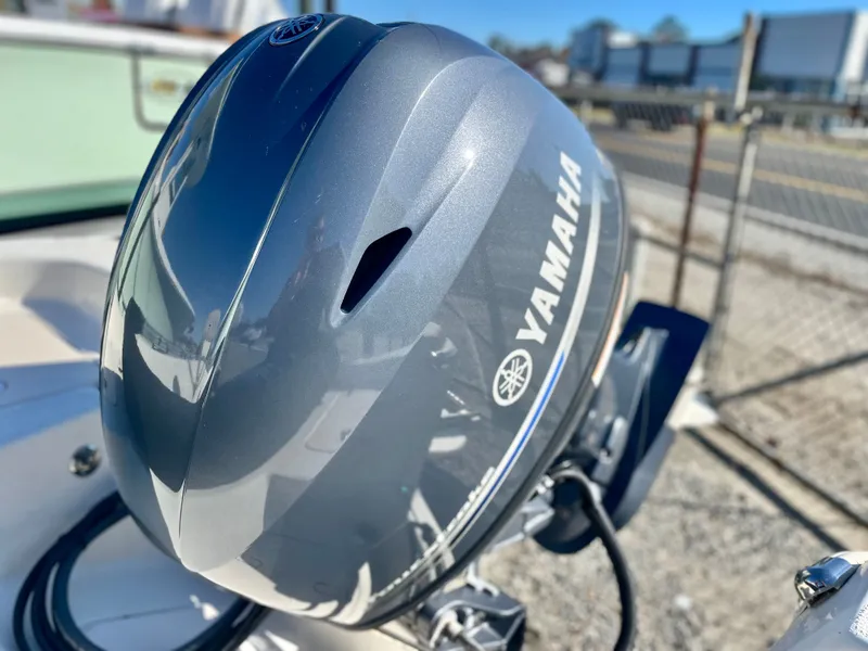 Slide: The Image of Carolina 178 DLV 2015 - 32