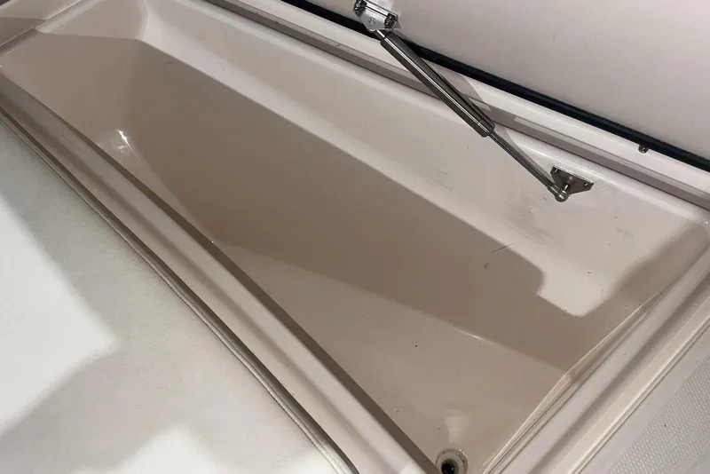 Slide: The Image of Storage compartment of 2021 Grady-White Fisherman 216 boat, featuring hydraulic lift support. - 37