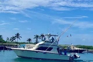 The Image of 1987 Hatteras 41 Convertible yacht cruising near tropical shoreline with palm trees. - 0