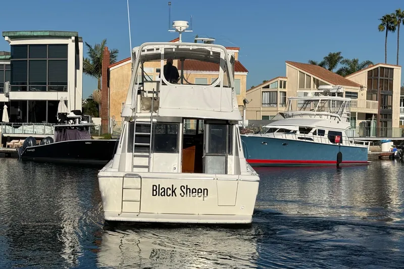 Slide: The Image of 1995 Bayliner 39 Motoryacht "Black Sheep" cruising in a marina with waterfront homes. - 3